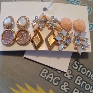 6 pairs Rose plated earrings